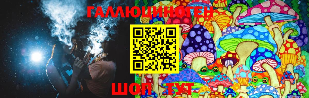 Псилоцибиновые грибы GOLDEN TEACHER  Вход с VPN  цены наркотик  Чебоксары 
